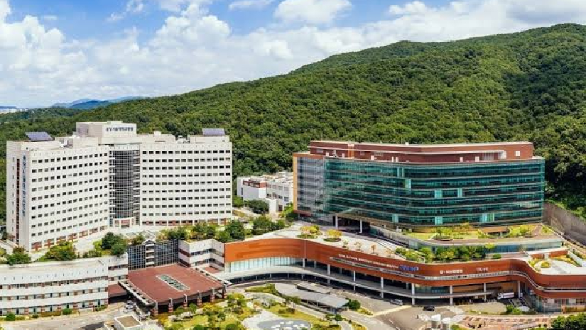 সিউল ন্যাশনাল ইউনিভার্সিটি 