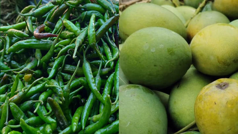 এক কেজি কাঁচা মরিচের দামে ৭ কেজি হিমসাগর আম