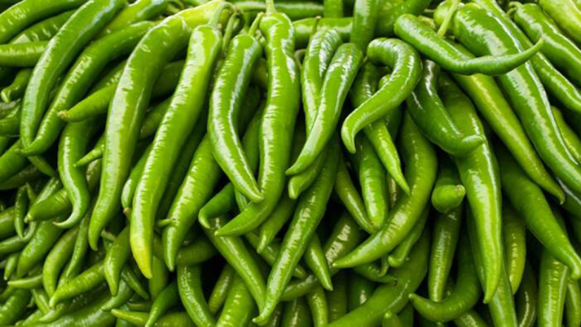 আমদানির পর কাঁচা মরিচের কেজি ২০০ টাকা