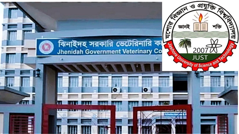 যবিপ্রবির ভেটেনারি মেডিসিন অনুষদ বা ঝিনাইদহ সরকারি ভেটেরিনারি কলেজ