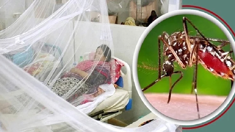 হাসপাতালে ডেঙ্গু আক্রান্ত রোগী