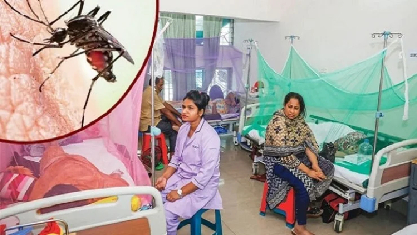 ডেঙ্গু আক্রান্ত হয়ে হাসপাতালে চিকিৎসাধীন অনেকে