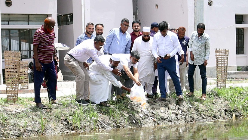 খুবির লেকে ছাড়া হয়েছে সৌন্দর্যবর্ধক কৈ-কার্প মাছ