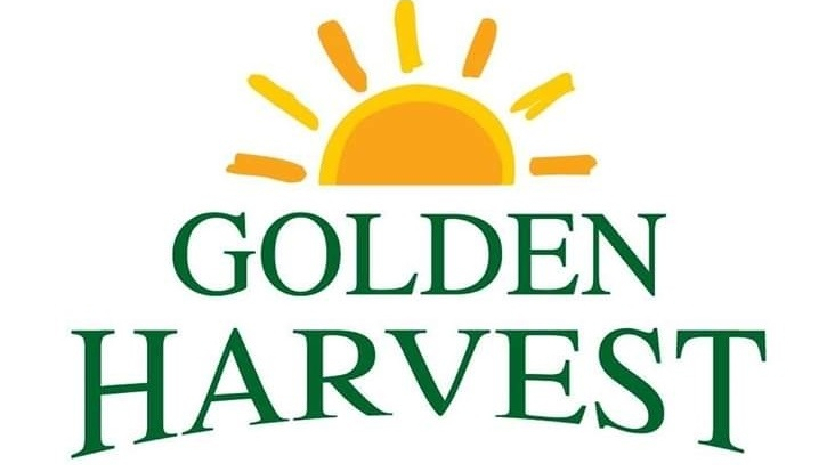 গোল্ডেন হার্ভেস্ট নেবে ৩০০ জন, এইচএসসি পাসেও আবেদনের সুযোগ