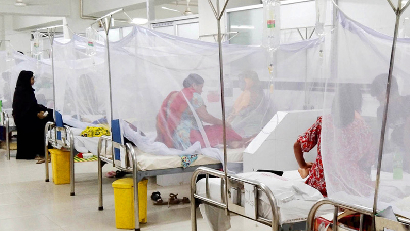 ডেঙ্গুতে এবার রেকর্ড একদিনে ১৩ জনের মৃত্যু