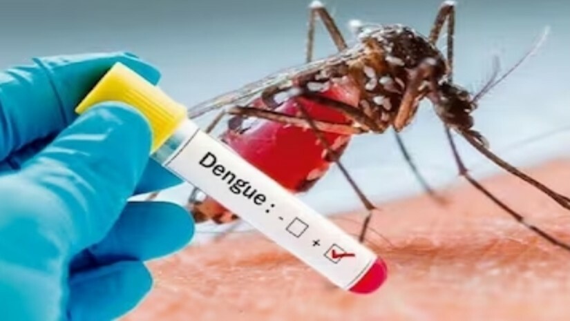 ডেঙ্গু নিয়ে সতর্কবার্তা দিল বিশ্ব স্বাস্থ্য সংস্থা
