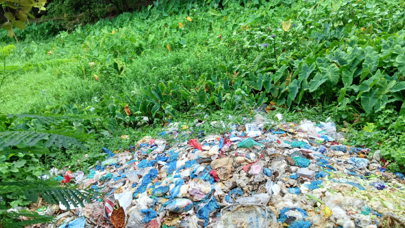 যত্রতত্র ময়লা এবং আগাছায় ছেয়ে গেছে ক্যাম্পাস