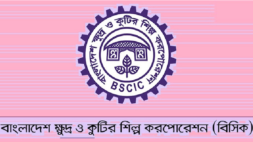 ৪৬ জনকে নিয়োগ দেবে বিসিক, আবেদন শুরু ৯ আগস্ট