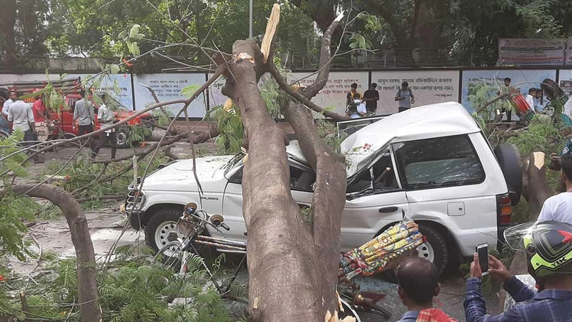 ভেঙে পড়েছে গাছ