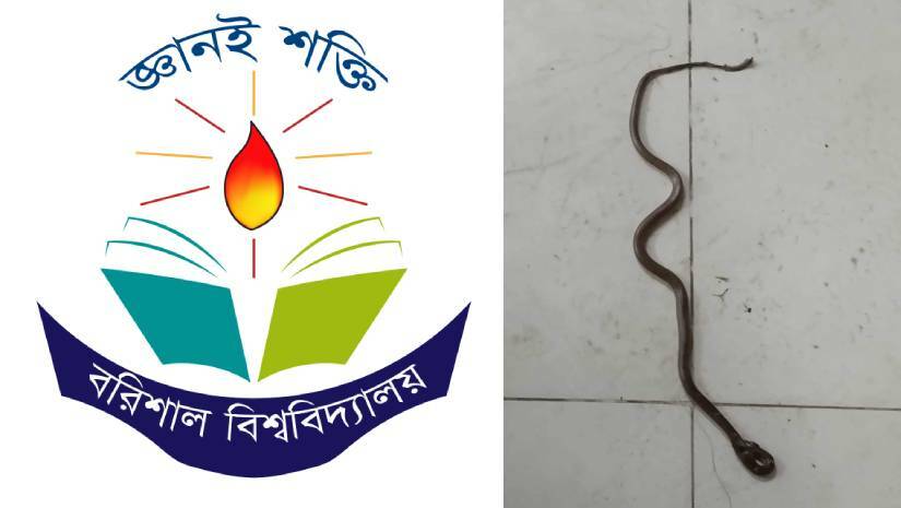 শেখ হাসিনা হলের ওয়াশরুমে সাপের আনাগোনা