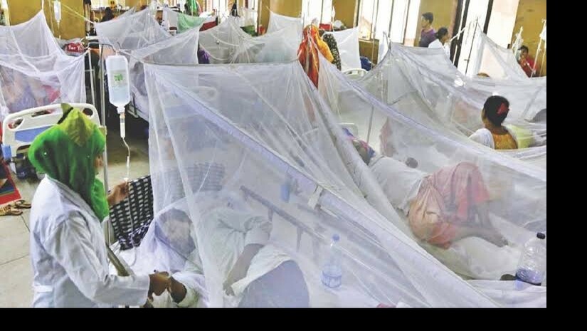 হাসপাতালে ডেঙ্গু রোগীদের চিকিৎসা চলছে