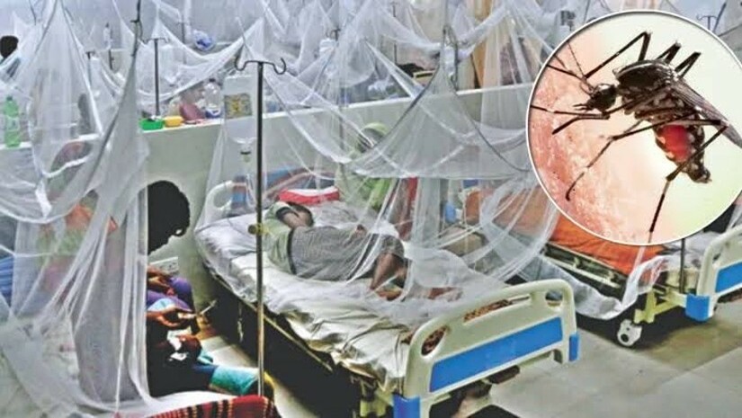 হাসপাতালে ডেঙ্গু রোগীর চিকিৎসা চলছে
