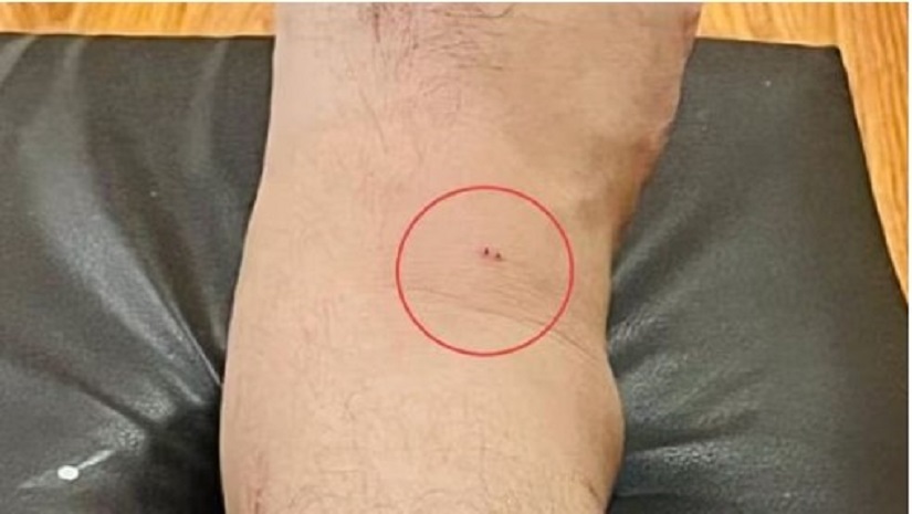 পাঞ্জাবে বন্যা দুর্গত এলাকায় যাওয়া শিক্ষামন্ত্রীকে সাপের ছোবল