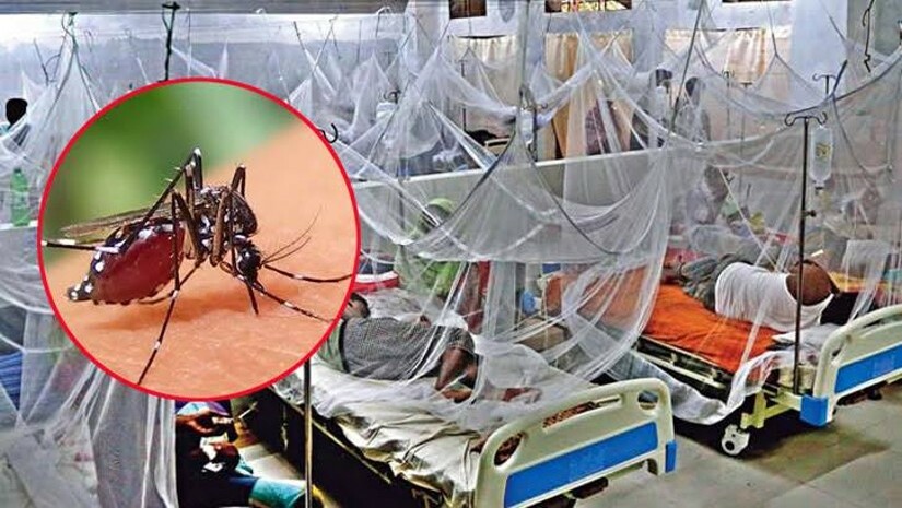ডেঙ্গু আক্রান্ত রোগী হাসপাতালে 