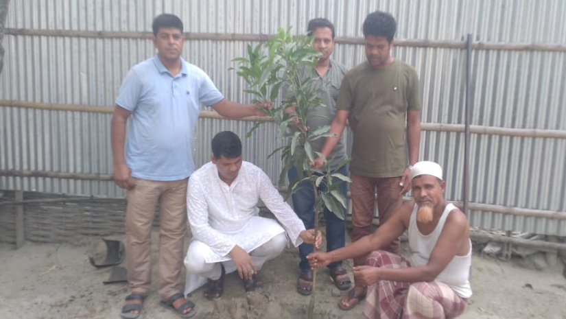 একটি বিদ্যালয় প্রঙ্গণে বৃক্ষরোপন করছেন বিপ্লব হাসান পলাশ