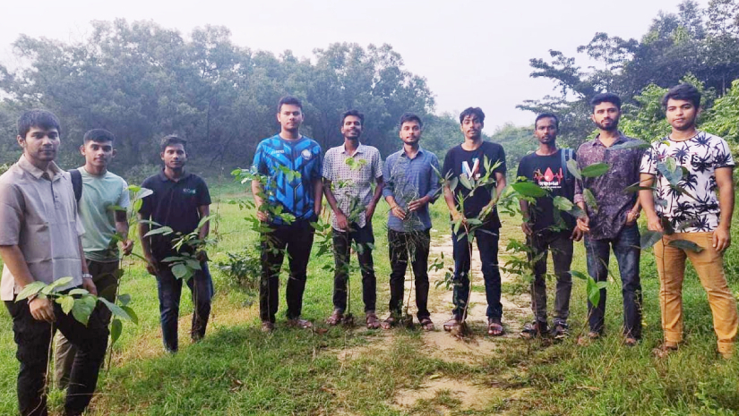 শাবির সিঙ্গেল পরিষদের বৃক্ষ রোপণ