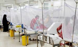 ডেঙ্গুতে প্রাণ গেল আরও ১৬ জনের