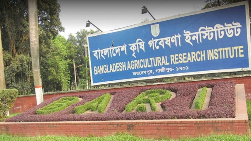 কৃষি গবেষণা ইনস্টিটিউটে নেবে ১৯৮ জন