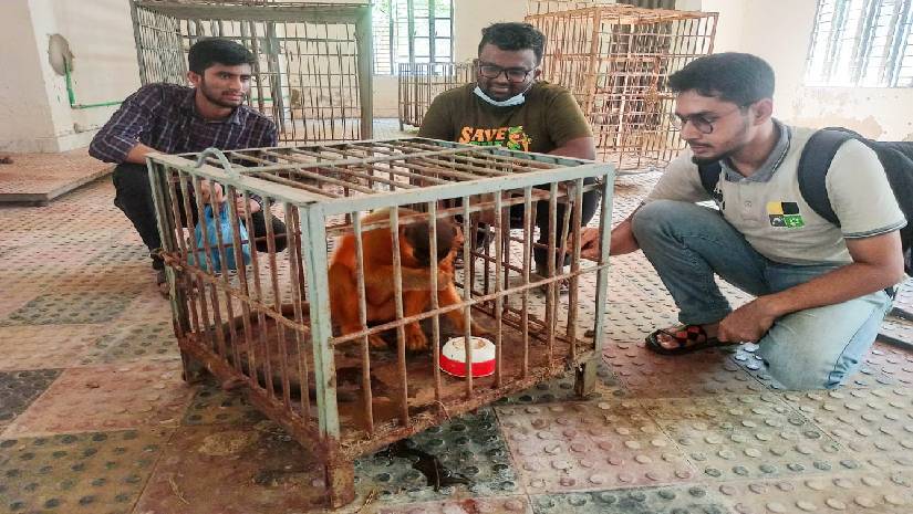 হনুমানটি উদ্ধার করে প্রাধিকার চিকিৎসার ব্যবস্থা করে