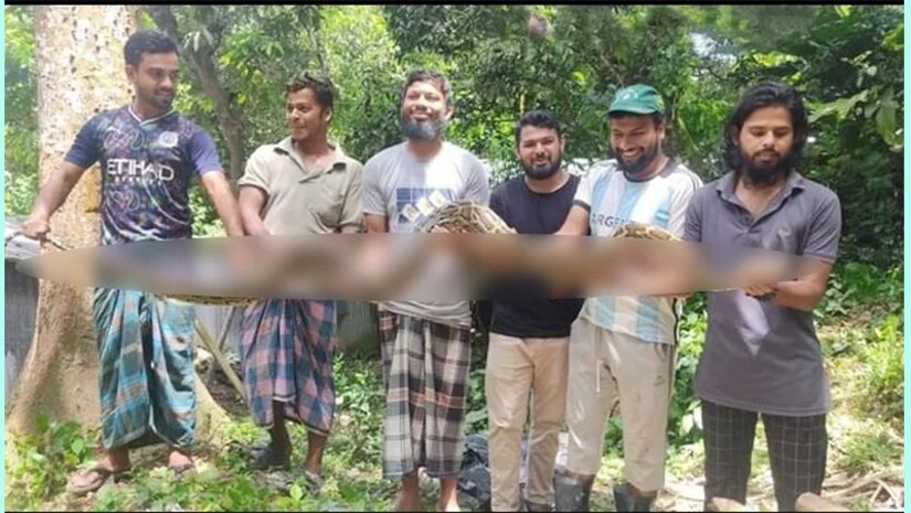 উদ্ধার হওয়া অজগর
