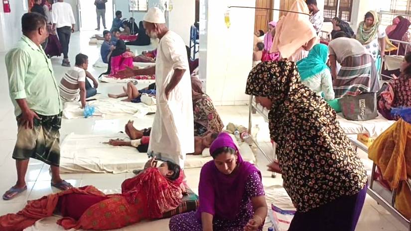 এক কুকুরের কামড়ে ৬০ জন আহত 