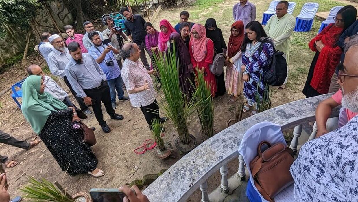 এক রোপনে পাঁচ বার ফলন দেওয়া পঞ্চব্রীহি ধানের ক্ষেতে পরিদর্শন করেন সিকৃবি শিক্ষার্থীরা