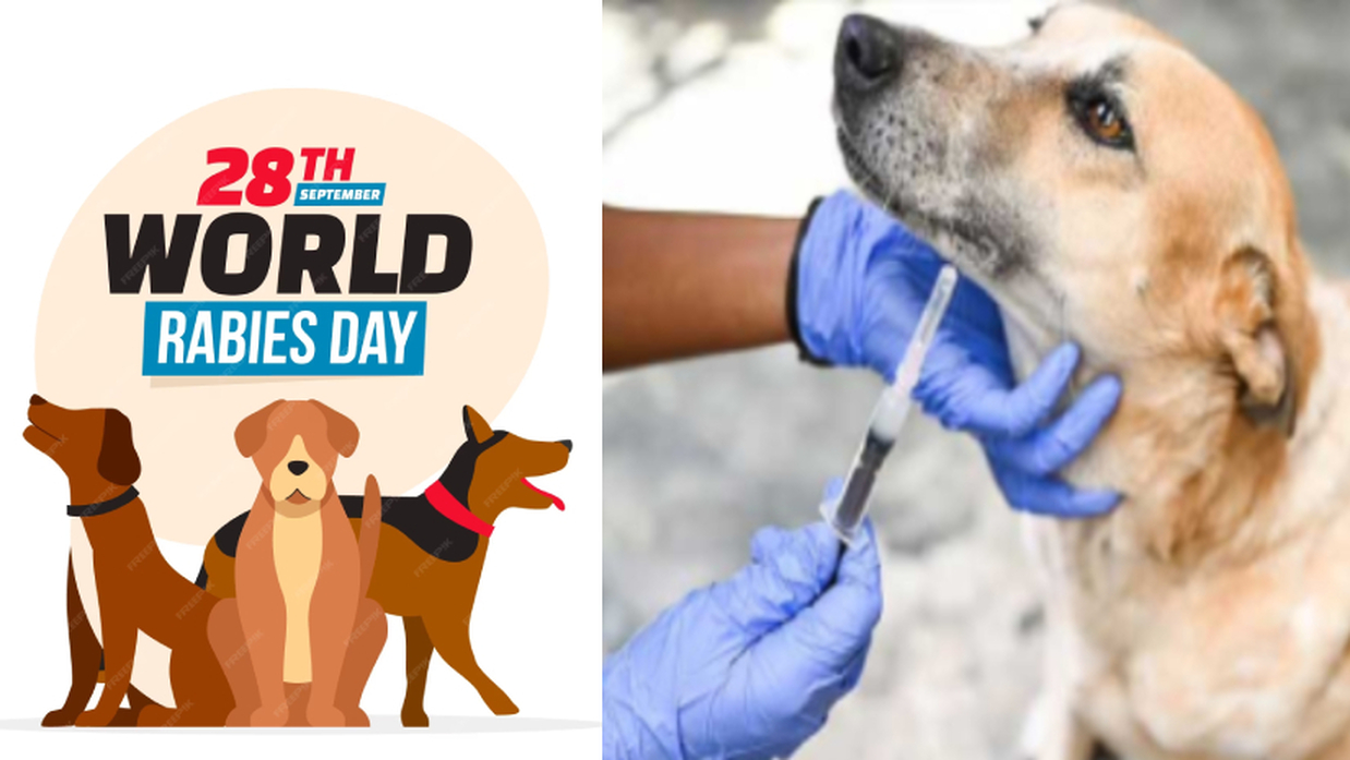 বিশ্ব জলাতঙ্ক দিবস