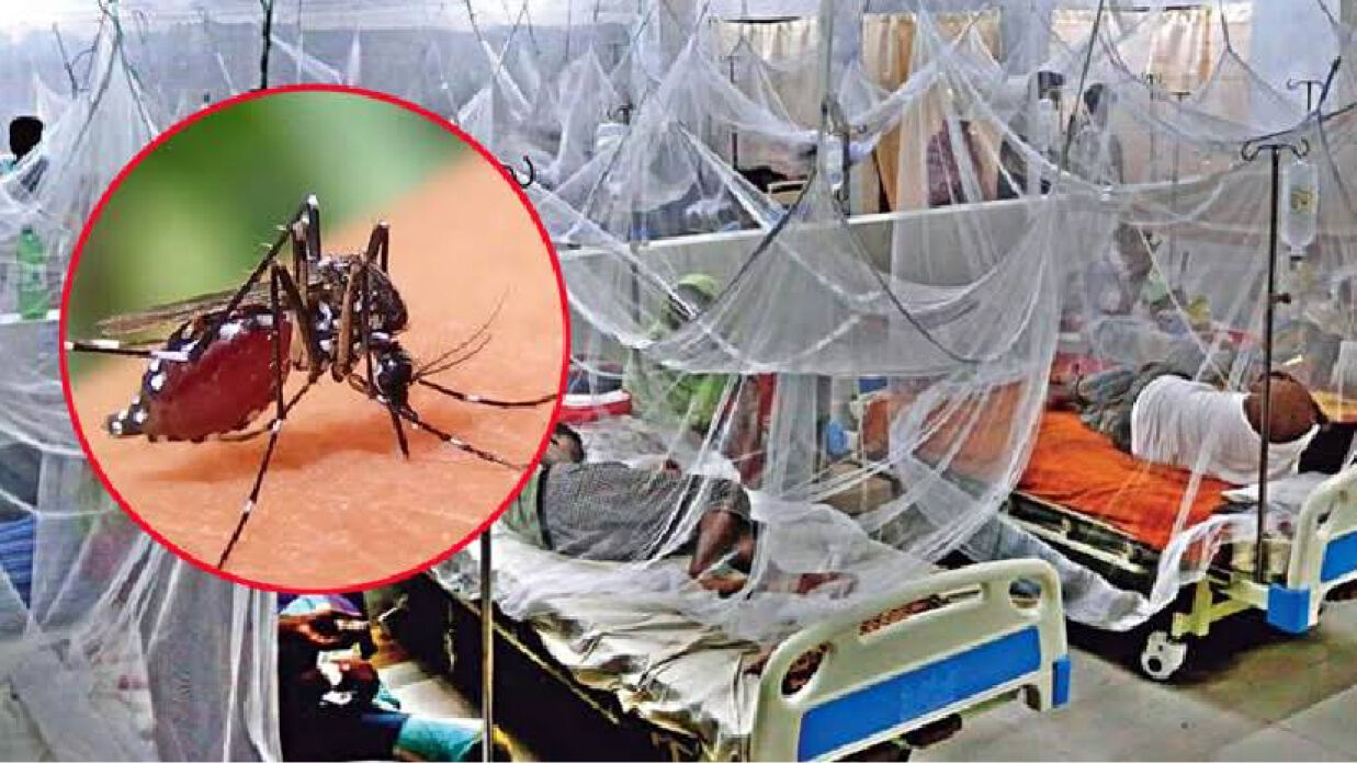 হাসপাতালে ডেঙ্গু আক্রান্ত রোগীর চিকিৎসা চলছে