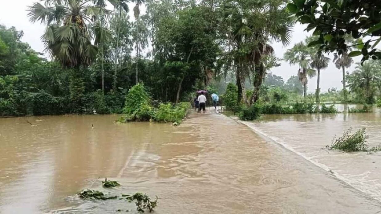 বৃষ্টিতে ভেসে গেছে সাড়ে ৬ হাজার পুকুরের মাছ