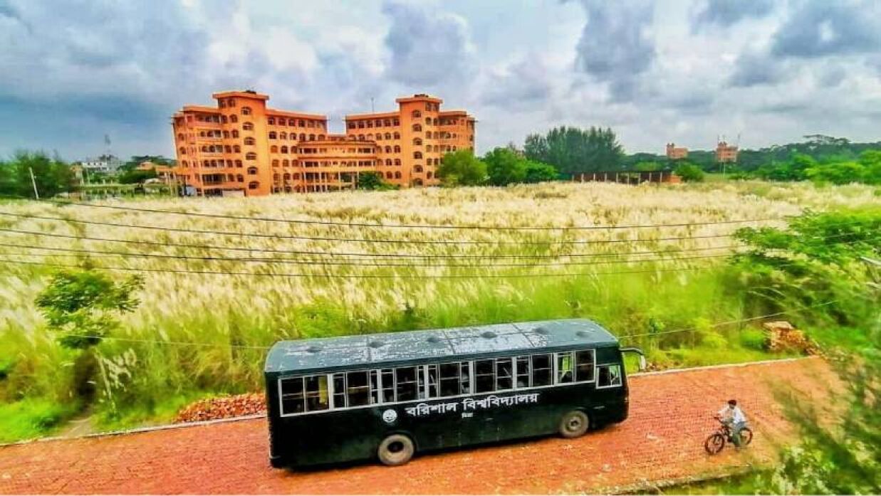 কাশফুলের সৌন্দর্যে মুখরিত বরিশাল বিশ্ববিদ্যালয়