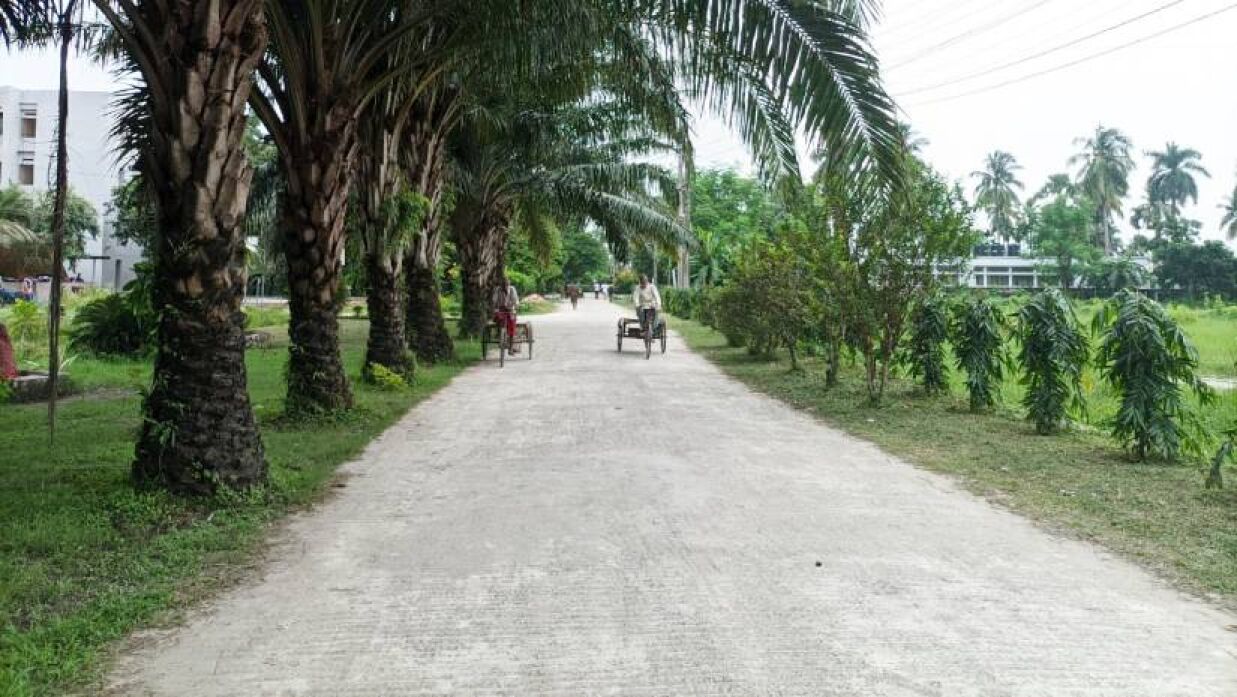 পরিষ্কার-পরিচ্ছন্ন খুলনা বিশ্ববিদ্যালয় ক্যাম্পাস
