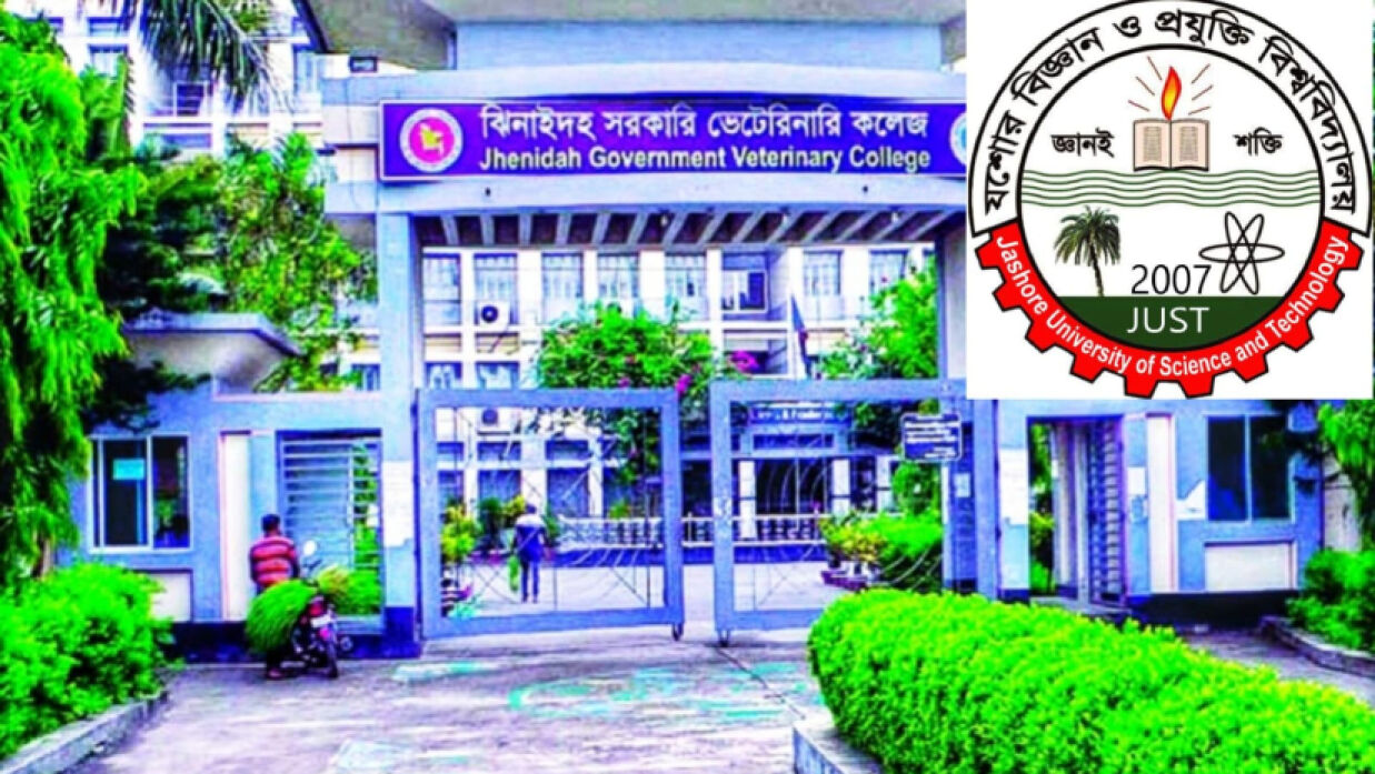 পূর্বের ঝিনাইদহ সরকারি ভেটেরিনারি কলেজ, বর্তমান যবিপ্রবি ভেটেরিনারি মেডিসিন অনুষদ