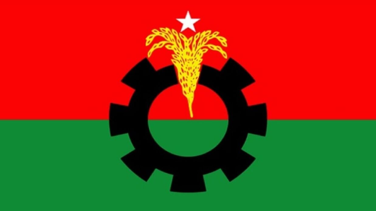বিএনপির দলীয় পতাকা