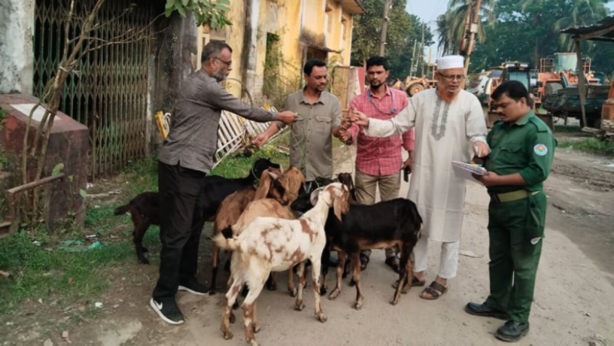 ছাগলগুলো মালিকের কাছে বুঝিয়ে দেয় সিটি করপোরেশন