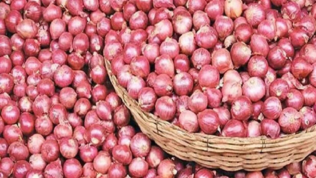 পেঁয়াজ