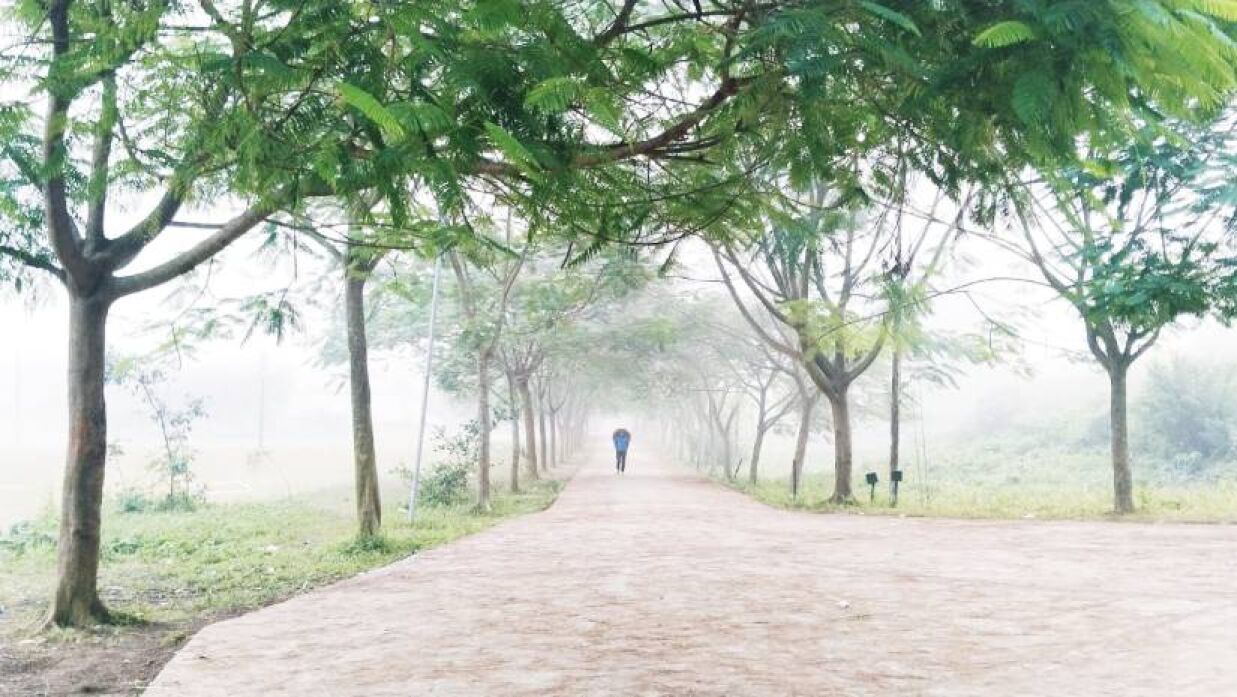 কুমিল্লা বিশ্ববিদ্যালয়ে কুয়াশার খামে শীতের আগমন