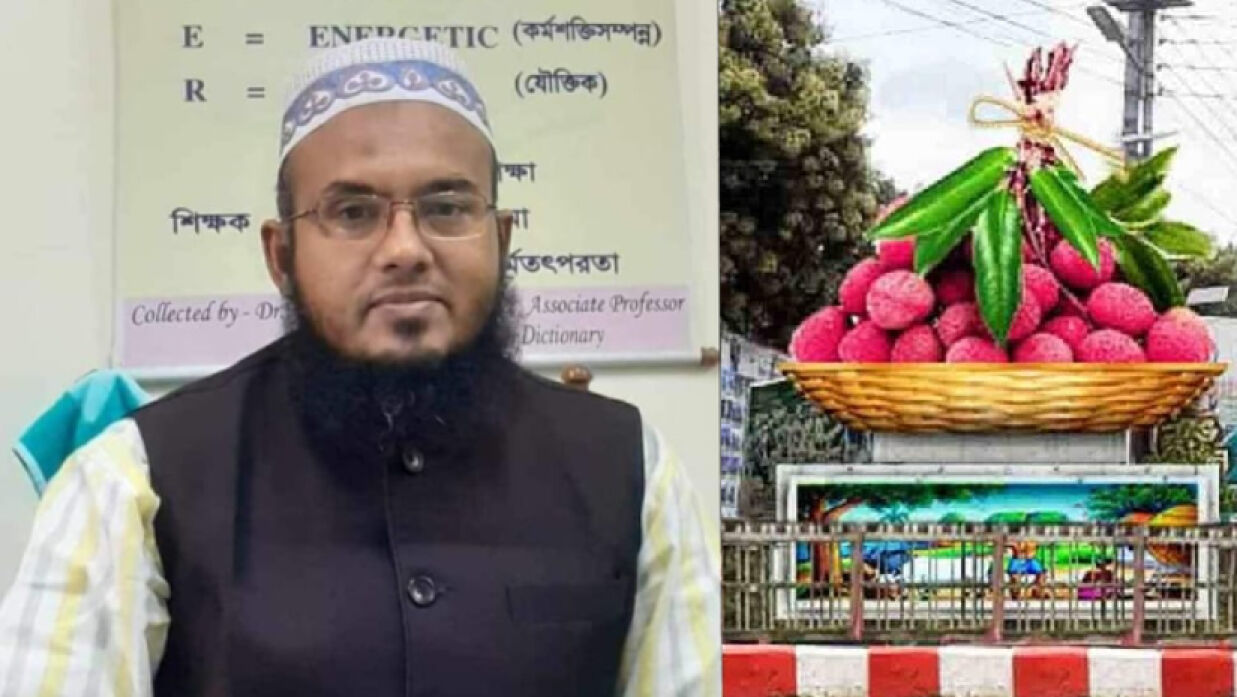 হাবিপ্রবি শিক্ষকের আবেদনে দিনাজপুরে হচ্ছে লিচু চত্বর