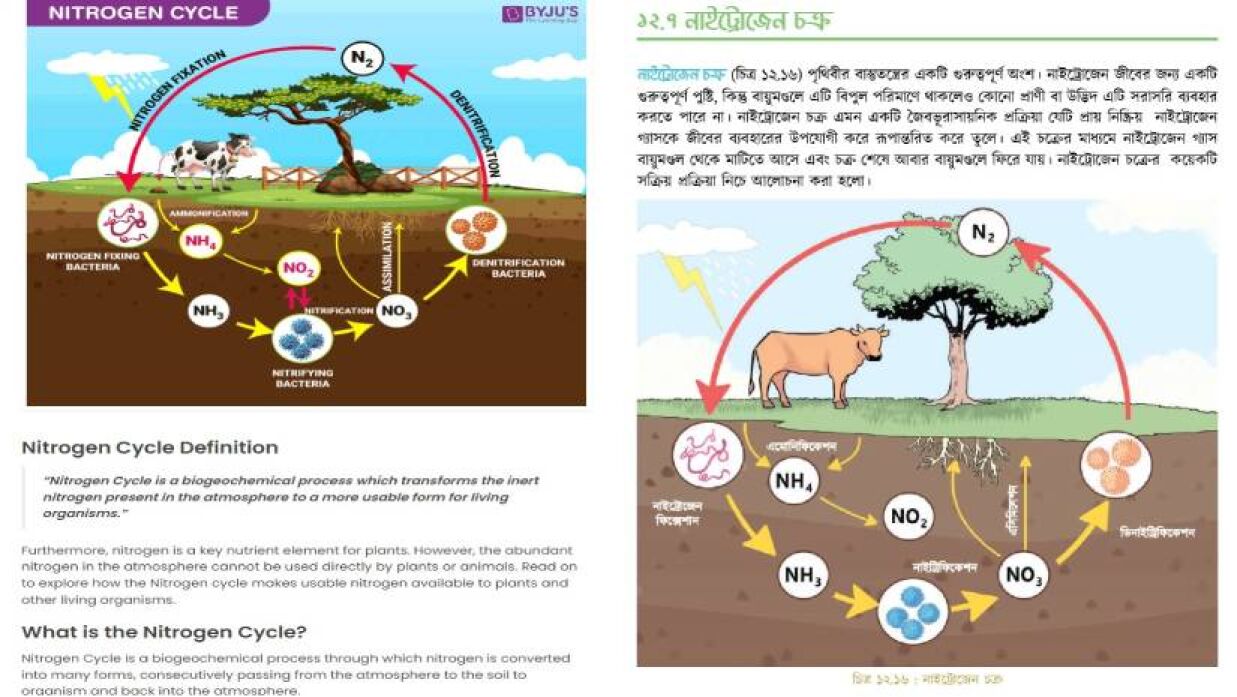 ভারতের কোচিং সেবা দেওয়া প্রতিষ্ঠান বাইজুসের ওয়েবসাইটের লেখা (বাঁয়ে), নবম শ্রেণির ‘বিজ্ঞান অনুসন্ধানী পাঠ’ বইয়ের ১২ নম্বর বাস্তুতন্ত্র অধ্যায়ের ১২.৭ অনুচ্ছেদ