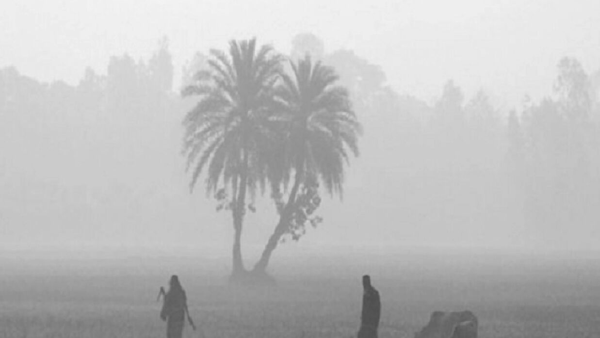 শৈত্যপ্রবাহ 