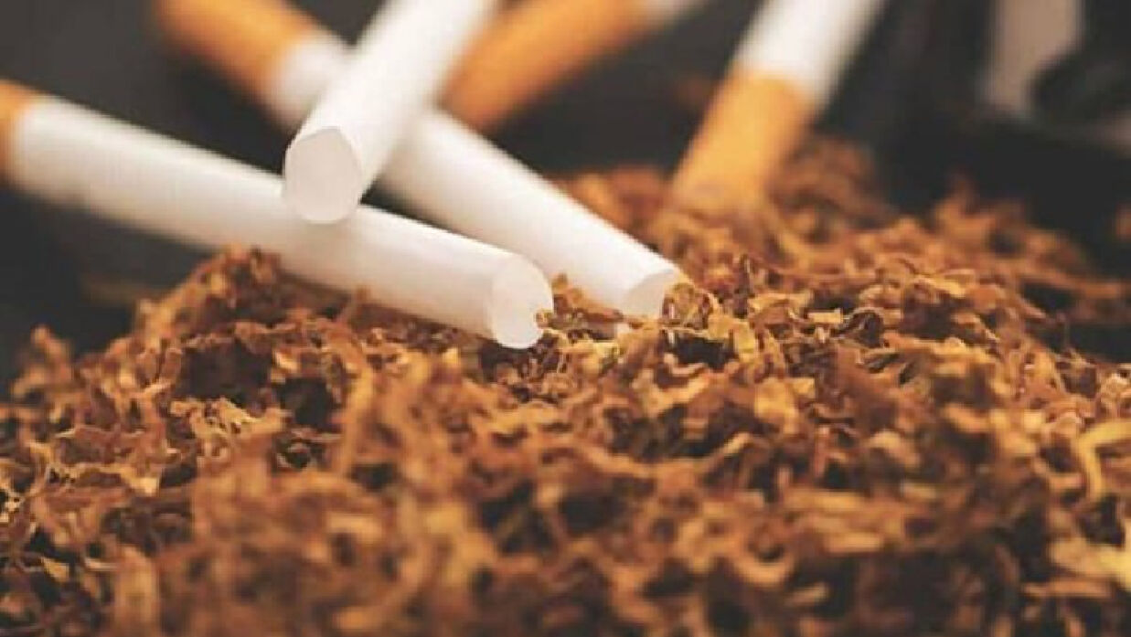 জানা গেল বাংলাদেশে তামাক ব্যবহারকারীর সংখ্যা