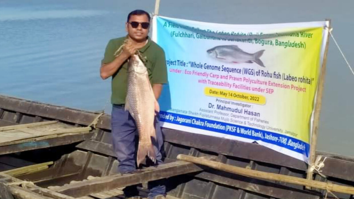 ড. মাহমুদুল হাছান