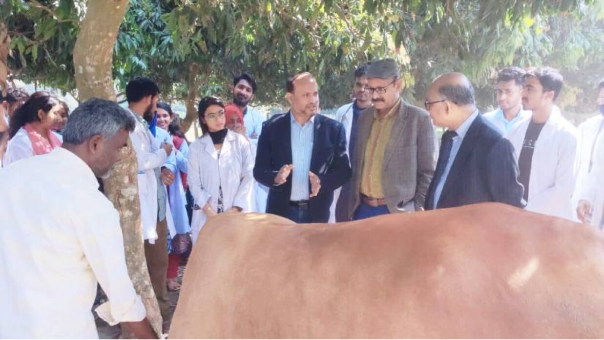 হাবিপ্রবি ভেটেরিনারি মেডিকেল ক্যাম্পের ফ্রি চিকিৎসা পেল ৫২৭ প্রাণী