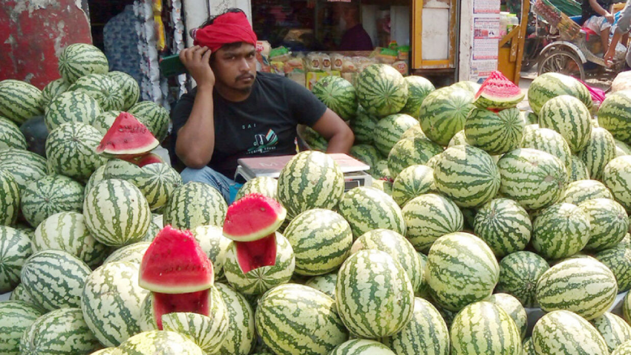 কেজি নয়, পিস হিসেবে তরমুজ বিক্রির নির্দেশ