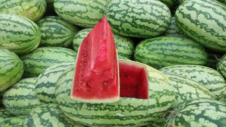 ভালো তরমুজ চিনবেন কীভাবে, জেনে নিন