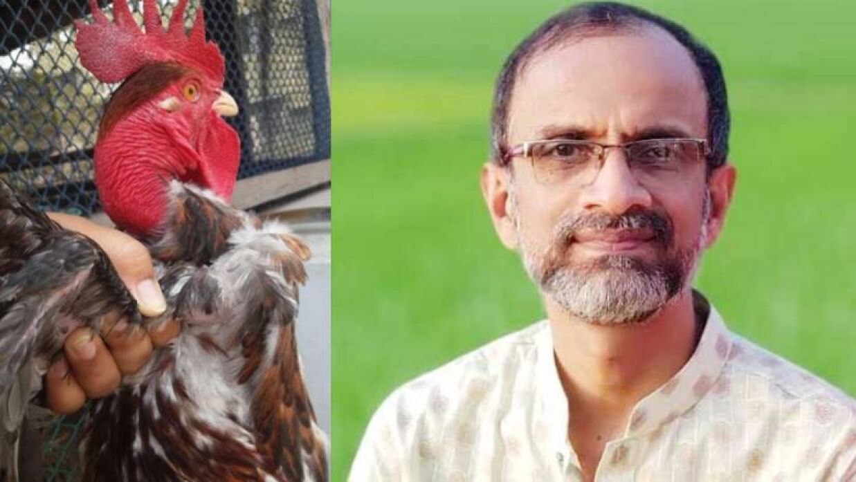 মাহবুব কবির মিলন