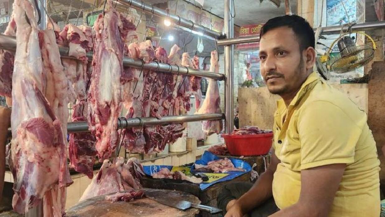 মাংস নয়, ব্রাজিল থেকে গরু আমদানি করতে চায় বাংলাদেশ