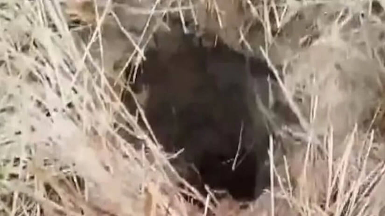 কূপটি থেকে শিশুটিকে উদ্ধারের চেষ্টা চলছে