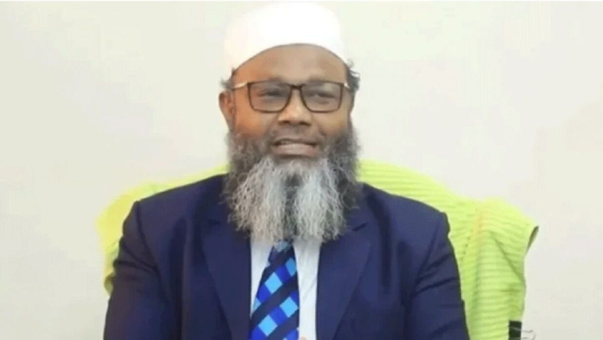 আলী আকবর খান