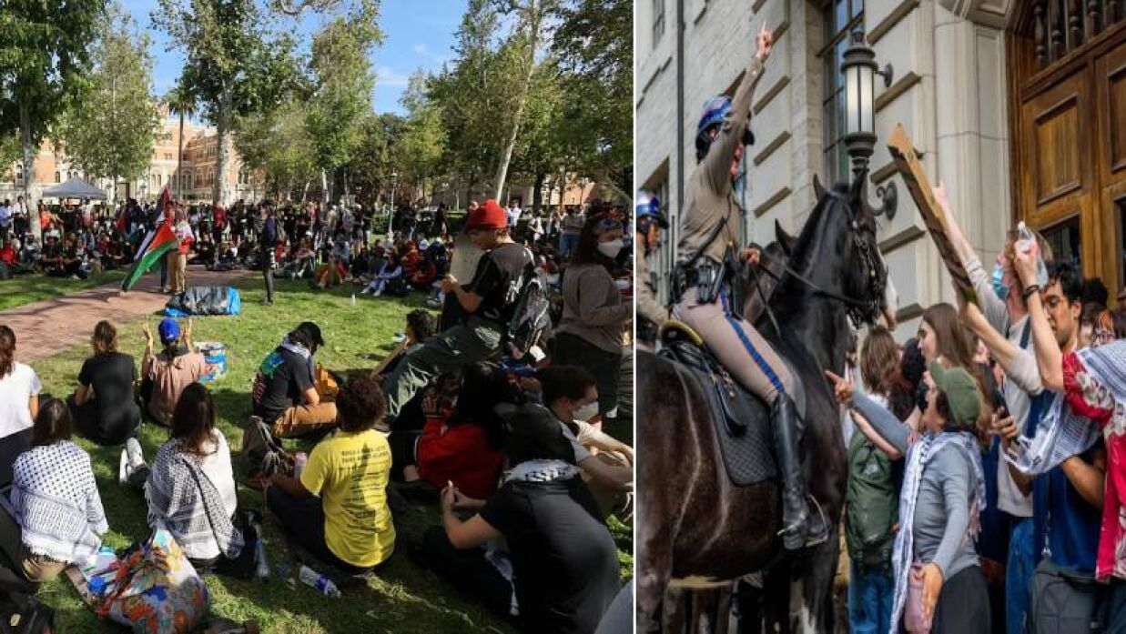 গাজা ইস্যুতে উত্তাল যুক্তরাষ্ট্রের বিশ্ববিদ্যালয়গুলো, গ্রেপ্তার শত শত