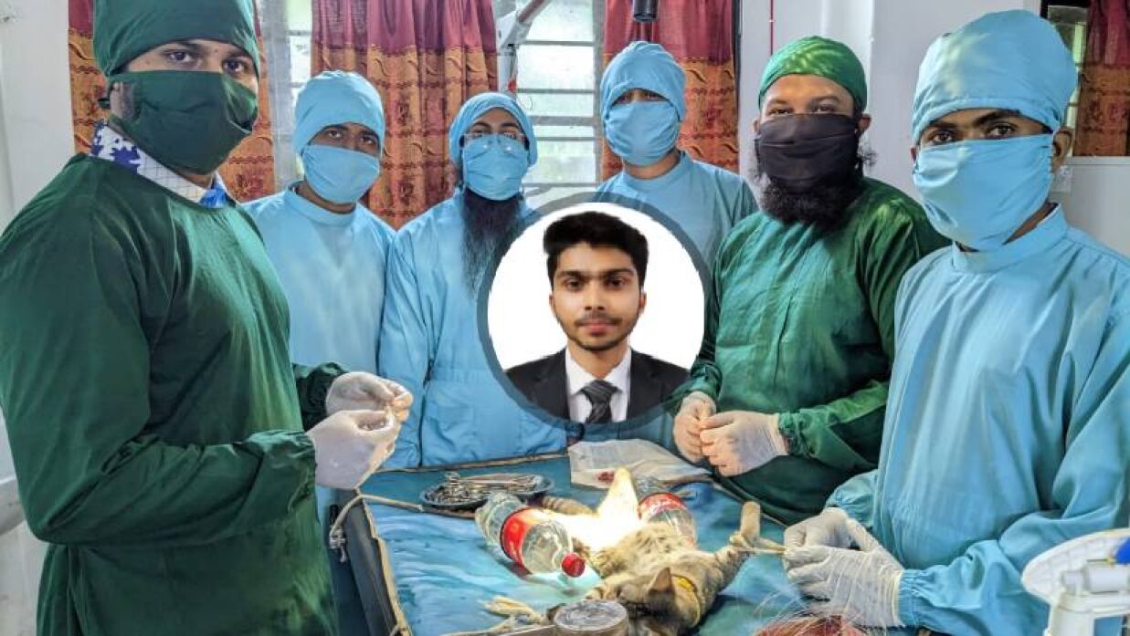 সাদাফ তাজবীর